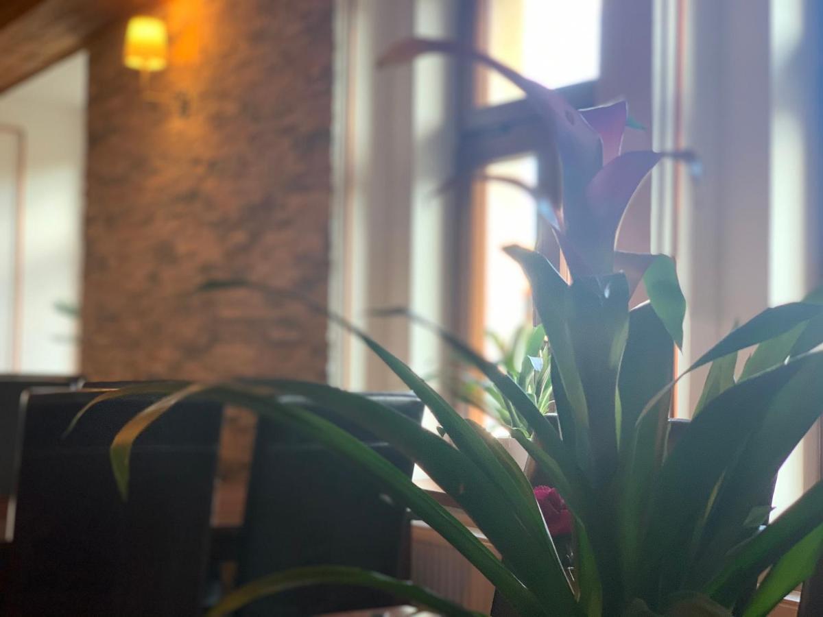 Uniqhotel سيسكي ستيرنبيرك المظهر الخارجي الصورة